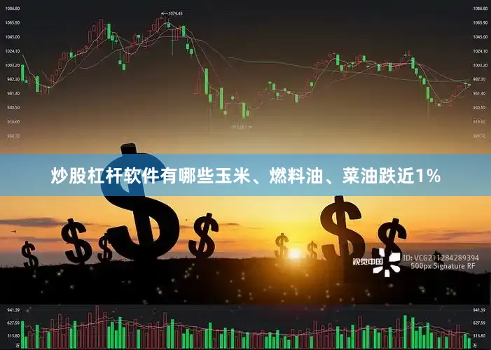 炒股杠杆软件有哪些玉米、燃料油、菜油跌近1%