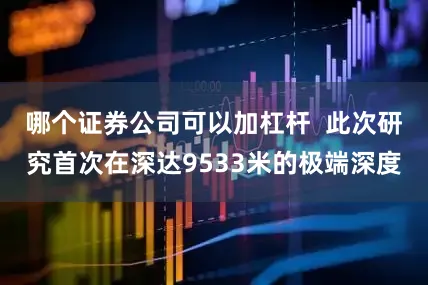 哪个证券公司可以加杠杆  此次研究首次在深达9533米的极端深度