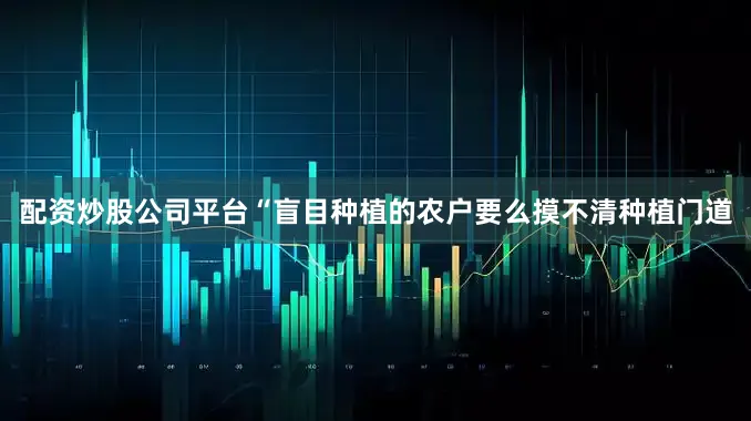 配资炒股公司平台　　“盲目种植的农户要么摸不清种植门道