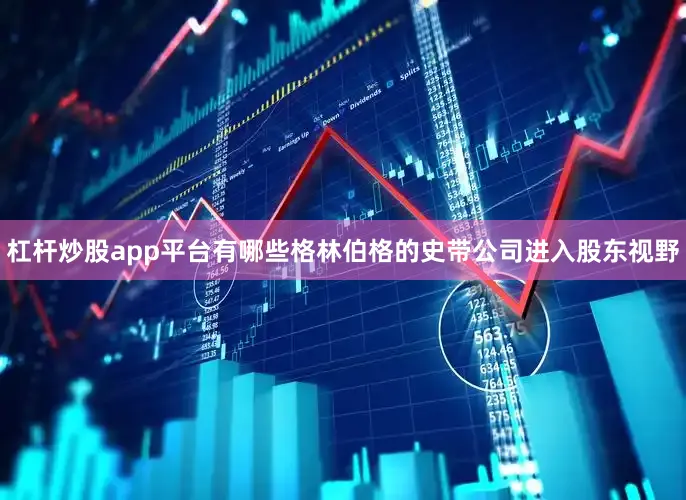 杠杆炒股app平台有哪些格林伯格的史带公司进入股东视野
